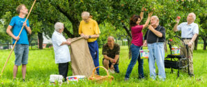 Lebenshilfe - Mitglieder bei der Apfelernte