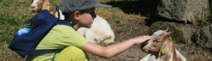 Lebenshilfe - Ferienbetreuung - Junge streichelt Ziege
